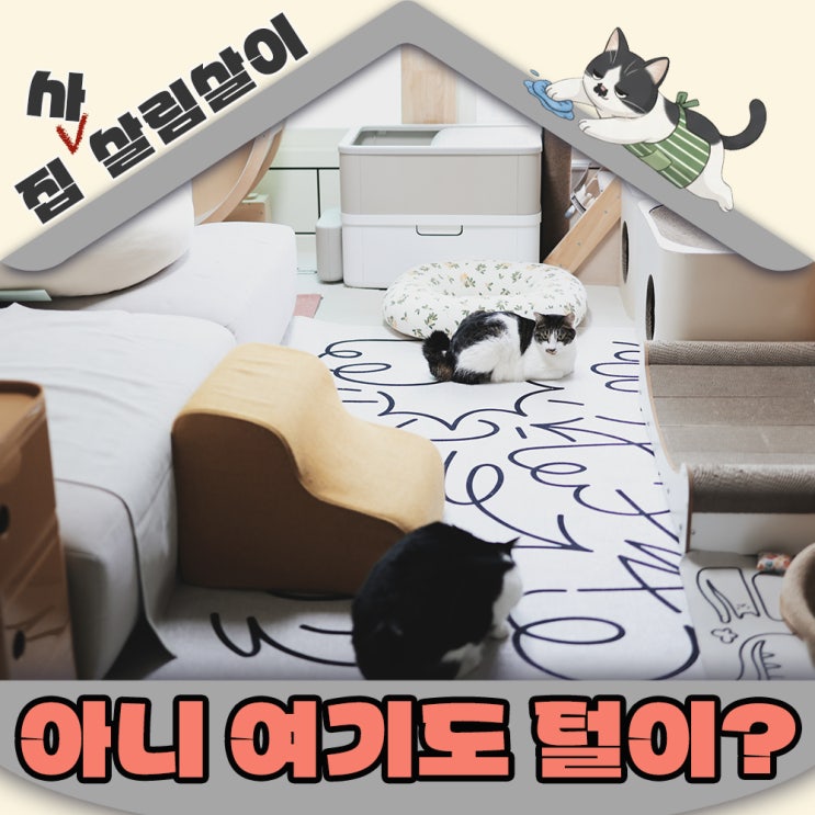  여긴 몰랐지?집사만 아는 고양이털 쌓이는 공간 TOP7