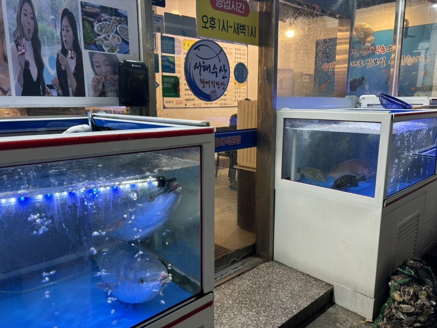 서해수산활어직판장 화정점 사진 3