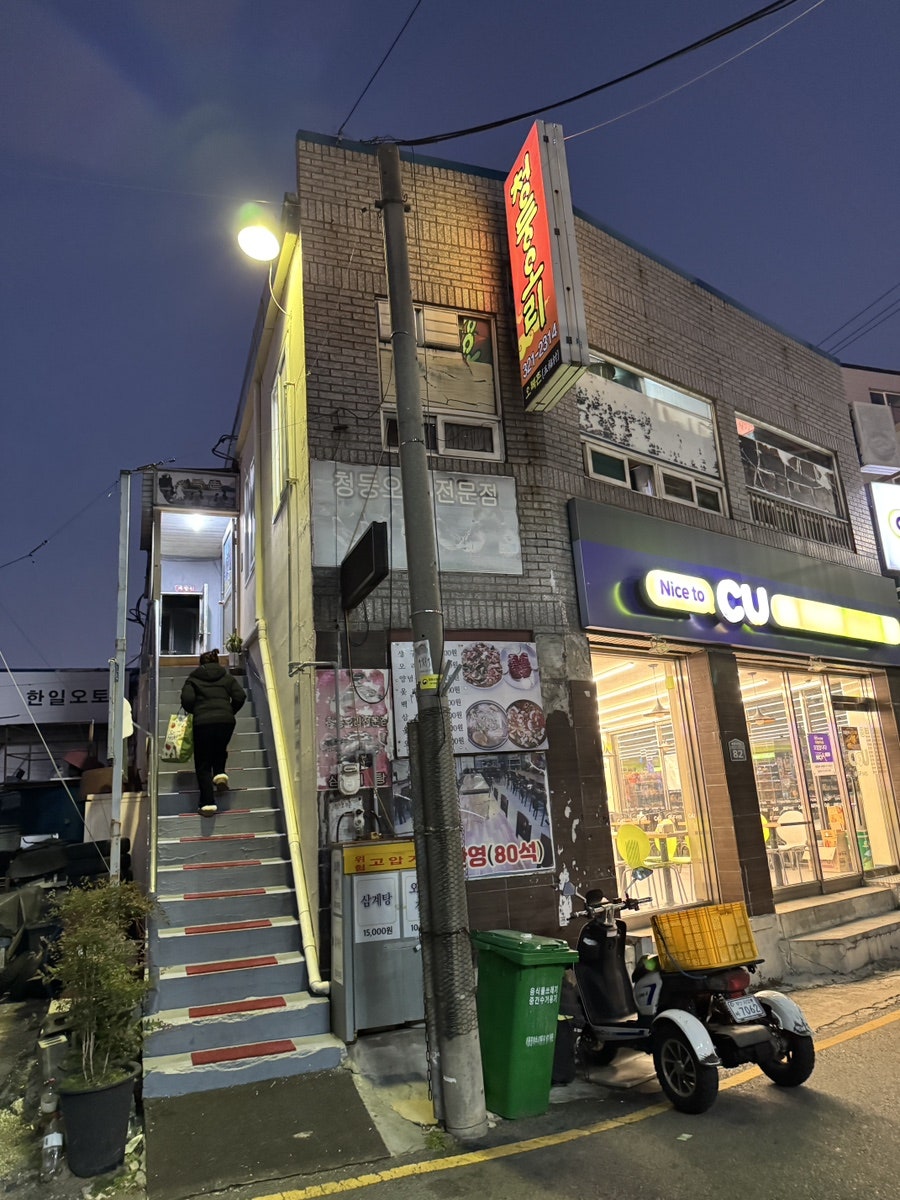 오복촌청둥오리 사진 1