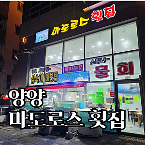 양양 쏠비치 근처 횟집 | 밤 10시에 도착해서 찾은 낙산해수욕장 마도로스 횟집 후기