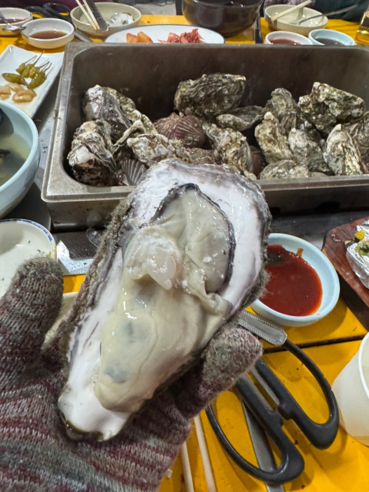  부산근교 마산굴구이촌 구산면 굴찜 굴구이 무학굴구이