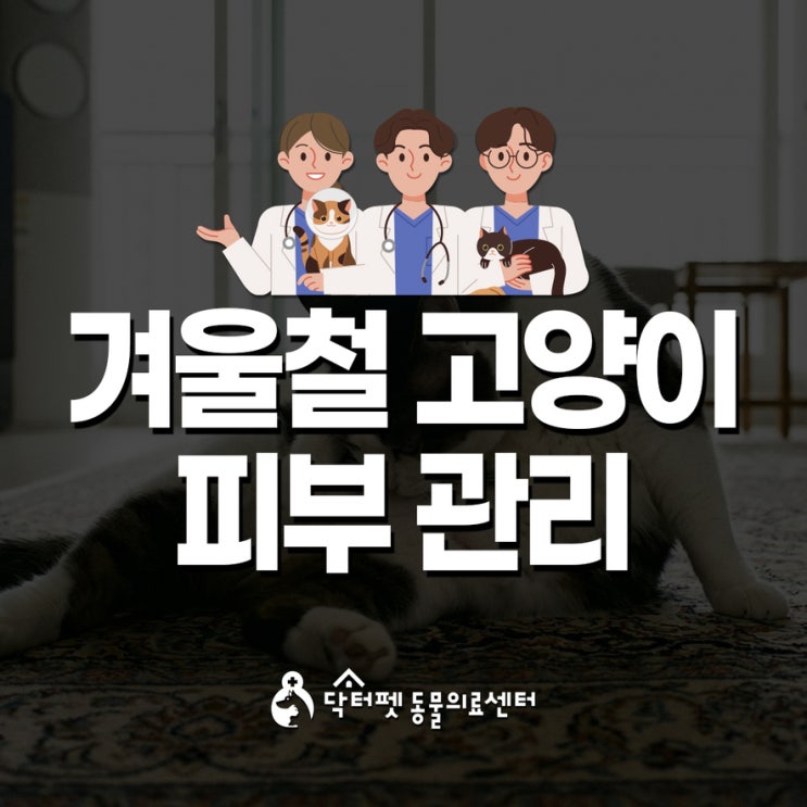  겨울철 고양이 피부 세가지 문제와 해결법 각질 정전기 저온화상