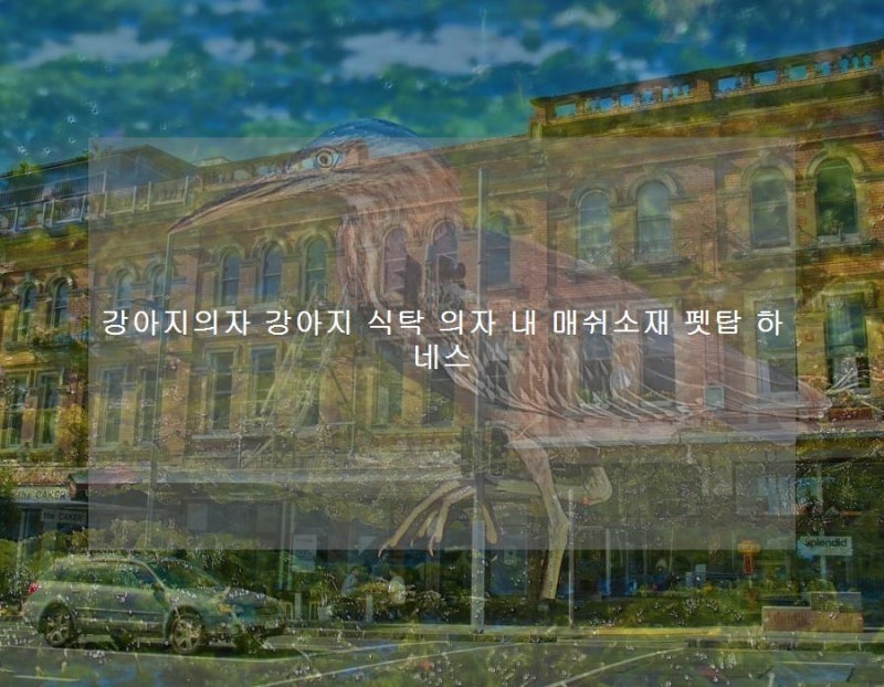 펫탑