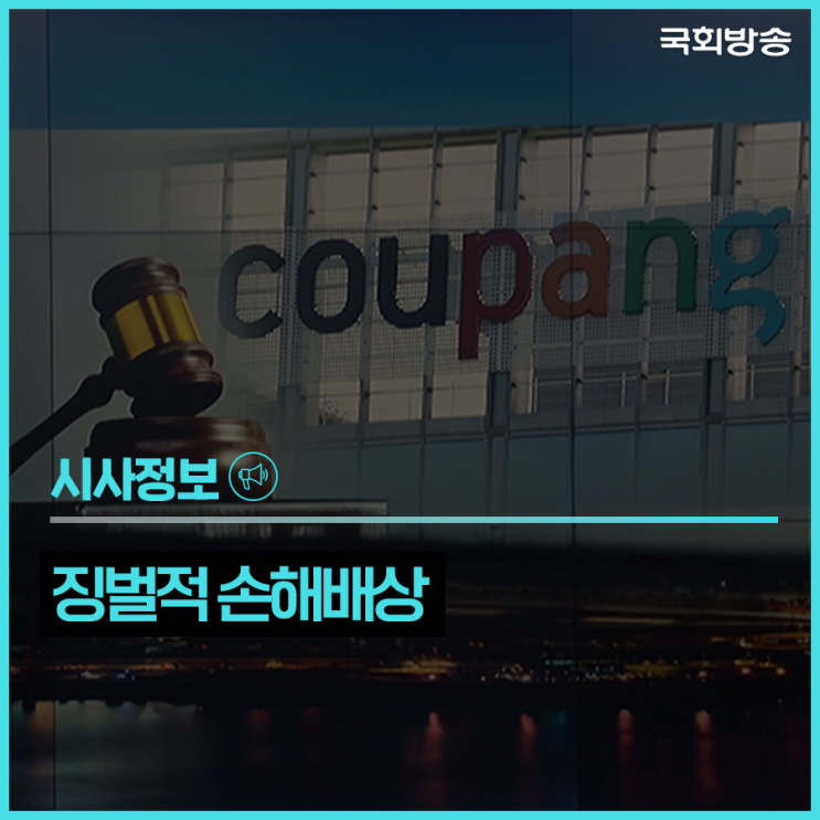 반복되는 정보 유출 피해…<b>쿠팡</b>, 첫 징벌적 손해배상 적용되나