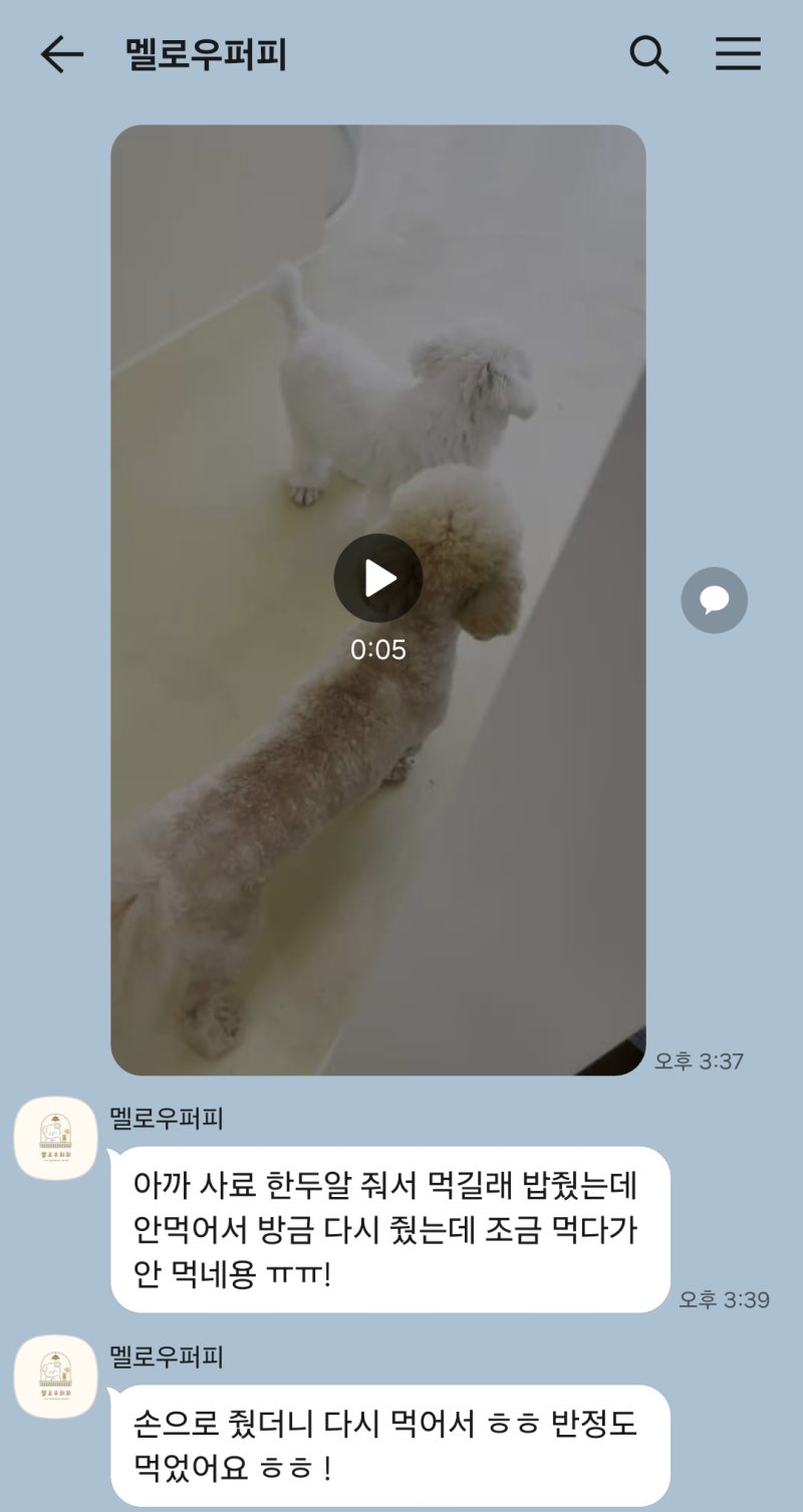 사진 8