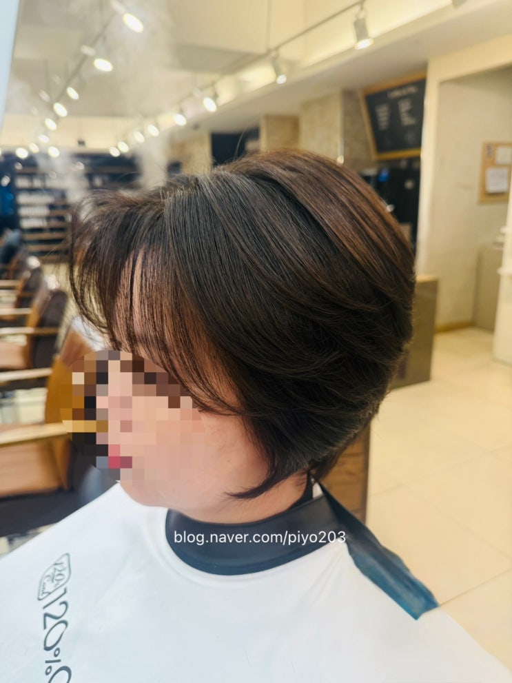  의정부 미용실 추천! '단발병' 유발하는 보브컷 + 볼륨매직, 똥 손도 가능한 5분 손질법 공개