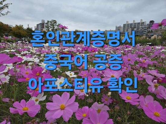  선중국 혼인신고 혼인관계증명서 공증