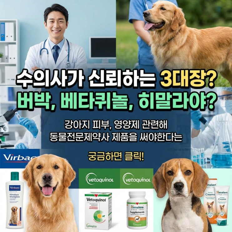  강아지 아토피 아포퀠? '동물전문제약사(버박 베토퀴놀 히말라야)' 제품 써야 하는 이유