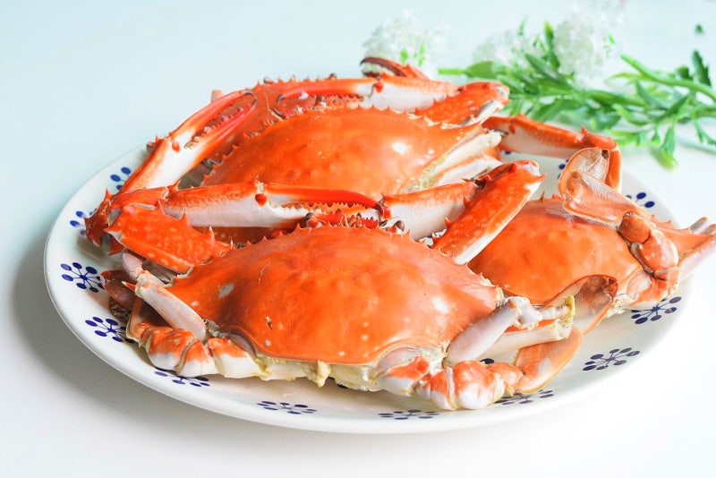 꽃게찌는법 찌는시간 꽃게찜 레시피 냉동 꽃게요리 꽃게 손질법