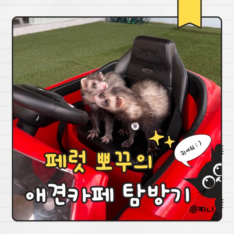 사진 6
