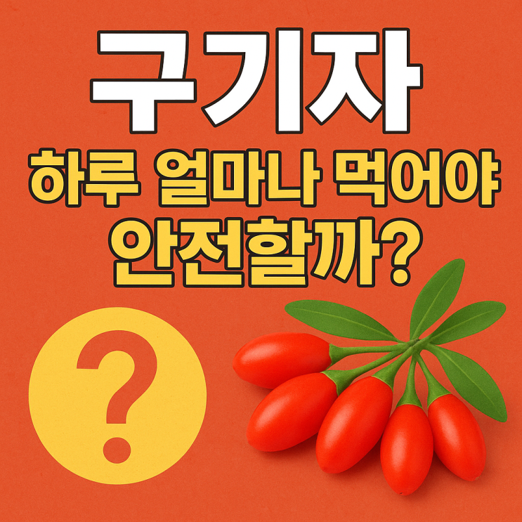   구기자 하루 권장 섭취량과 과다 섭취 주의사항 총정리