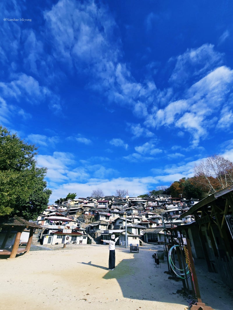 사진 6