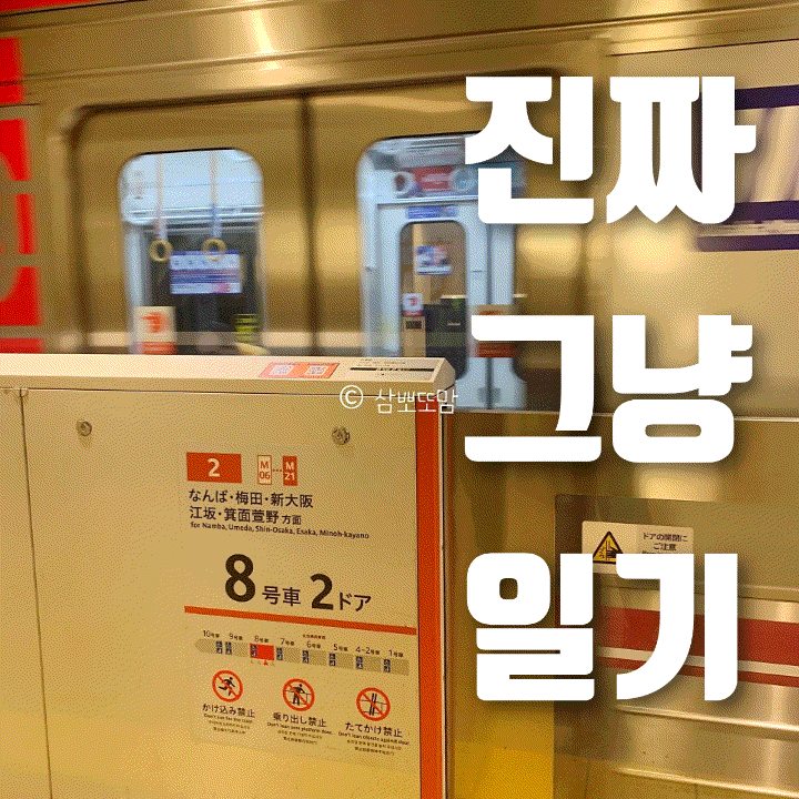  진짜 그냥 일기 | 밀린 사진정리를 해보아요(파주에서 먹은것들, 일본여행 정리 등)