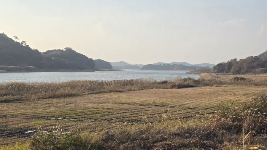 홍성호 사진 4