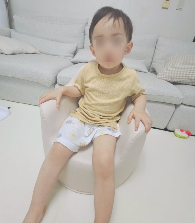 일룸 아코 소파 vs 디자인스킨 케이크 소파 비교 추천