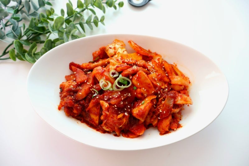 닭갈비 레시피 백종원 닭갈비양념 재료 황금비율