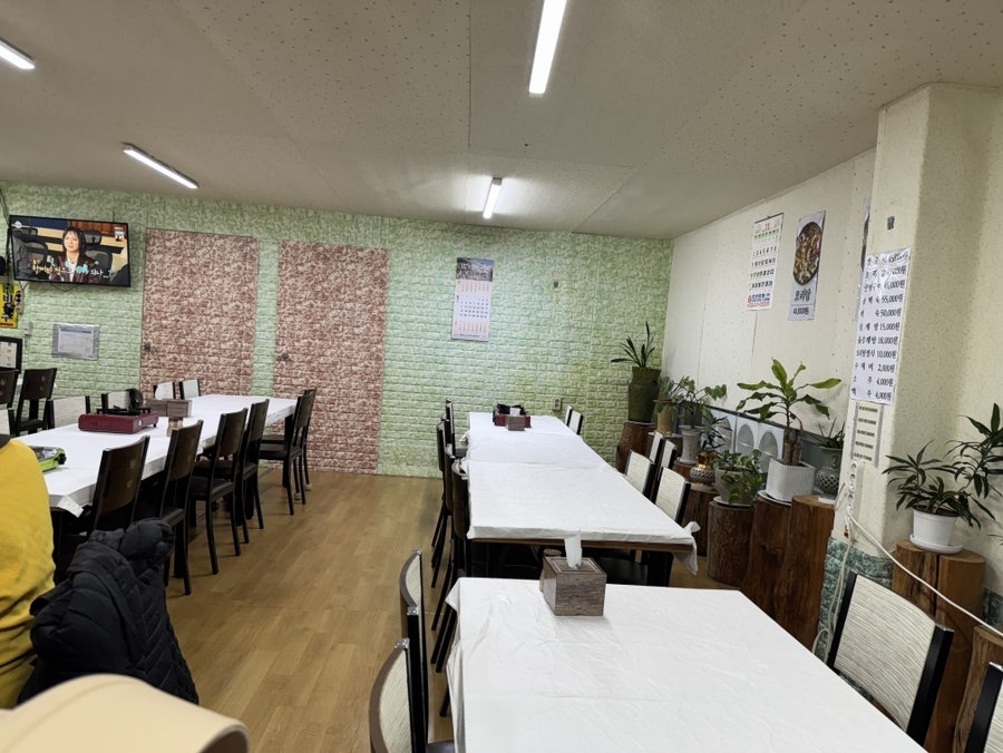 오복촌청둥오리 사진 2