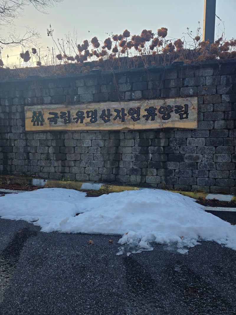 [자연휴양림] 유명산자연휴양림 숲속의집 산돼지 후기