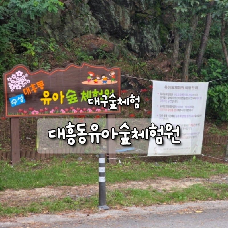 대흥동 유아숲체험원 후기 | 자연 속에서 온종일 뛰놀기 좋은 곳