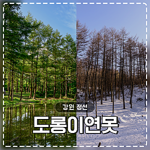 정선 가볼 만한 곳 :: 도롱이연못 - 겨울에도 아름다운 백패킹 / 등산 명소