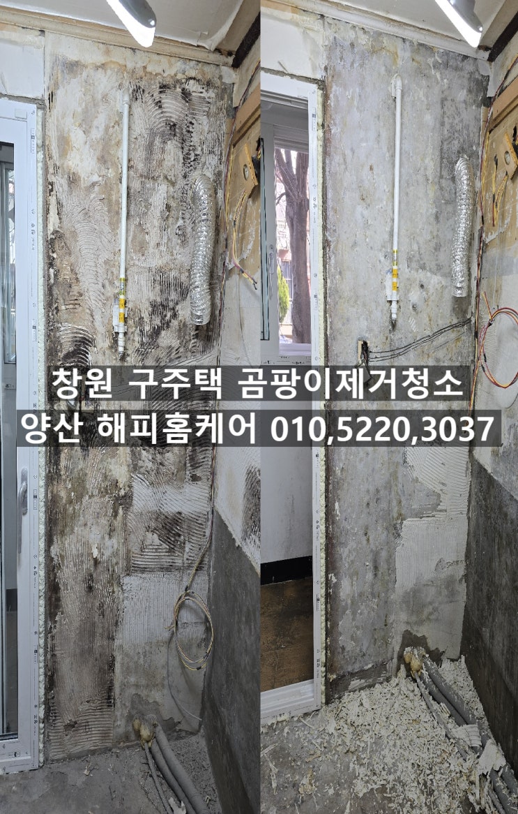  창원성산구 30년된 노후아파트 벽과 몰딩사이 퍼진 곰팡이제거청소~양산해피홈케어