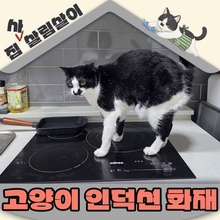  고양이집 인덕션 화재사고 1000원으로 해결해요
