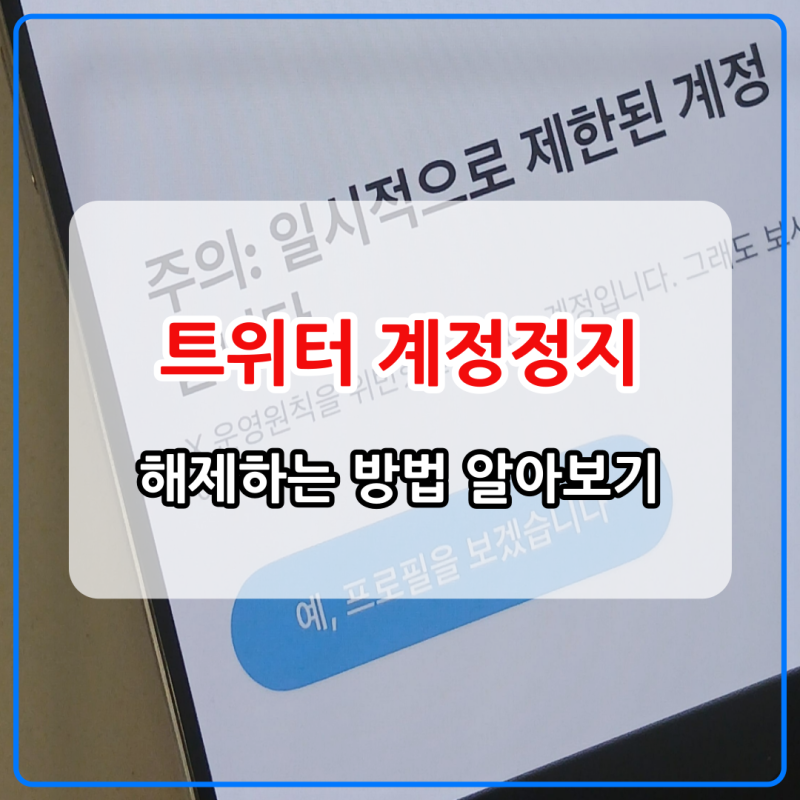트위터 계정정지 해제 절차 가이드