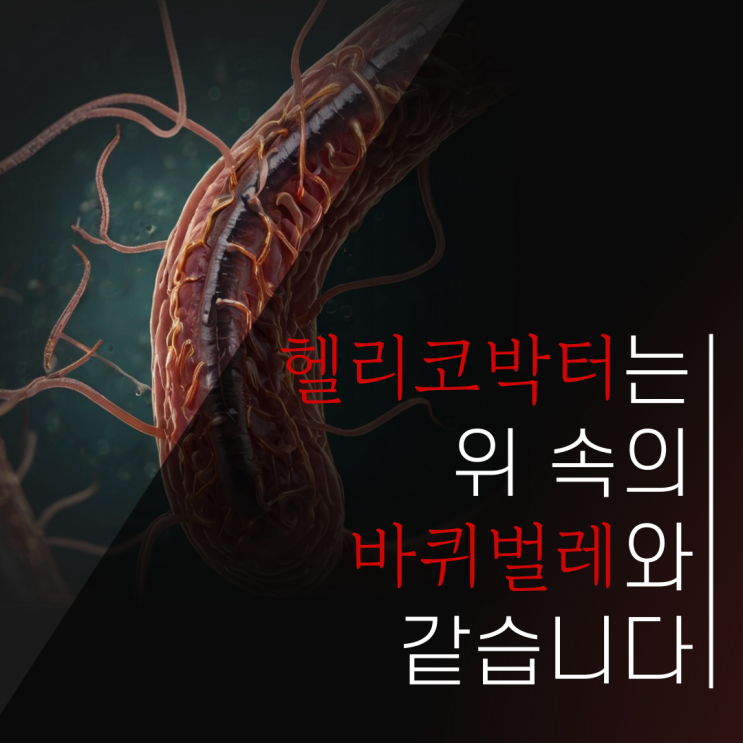  헬리코박터는 위 속의 바퀴벌레와 같습니다.