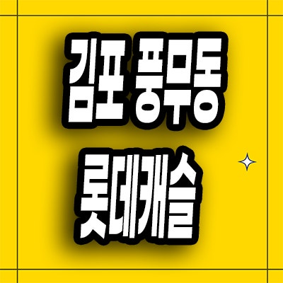  김포 풍무동 미분양아파트 풍무역 롯데캐슬 시그니처 잔여세대 분양가