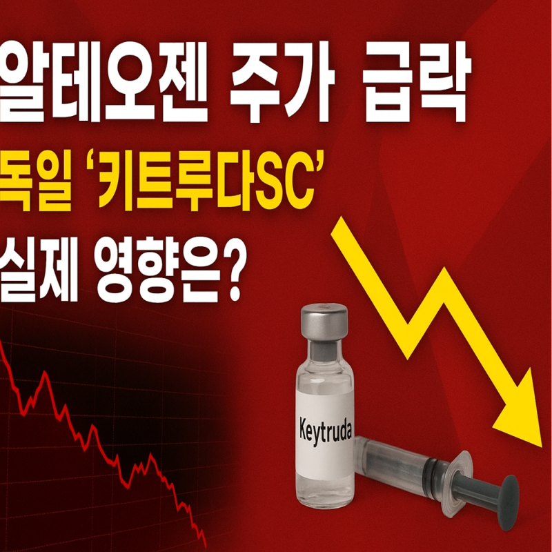 알테오젠 주가 급락 이유 독일 ‘키트루다SC’ 판매 제동, 실제 영향은?