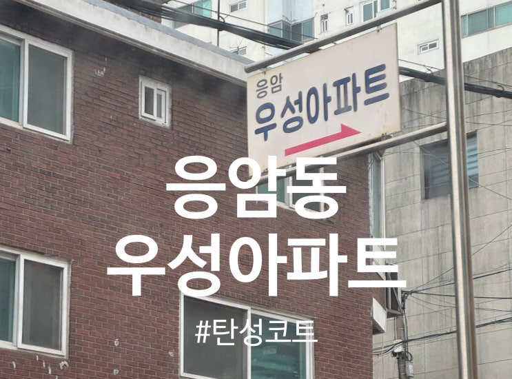  응암동 우성아파트 탄성코트 시공 달빛탄성