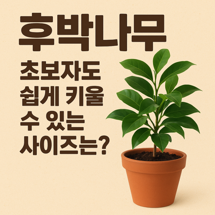  후박나무 가격대와 크기별 구매 가이드 