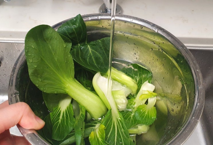 쿠쿠정수기 살균수 사용법 이렇게 활용할 데가 많다니