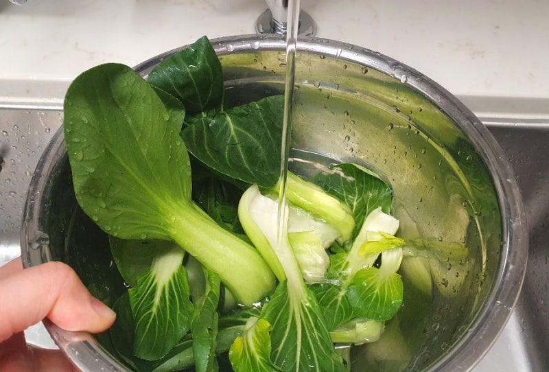 쿠쿠정수기 살균수 사용법 이렇게 활용할 데가 많다니