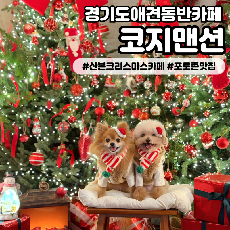 코지맨션