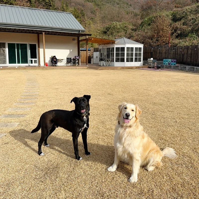 사진 7