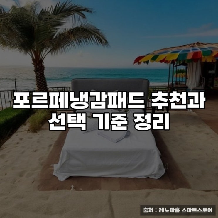  포르페냉감패드 추천과 선택 기준 정리