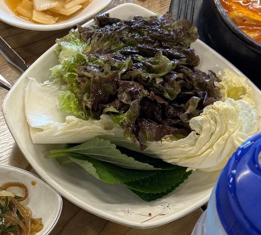 소나무집 사진 7