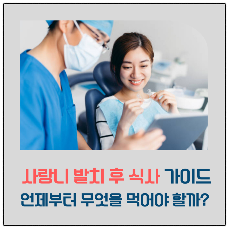 사랑니 발치 후 식사｜회복 단계별 추천 식사 메뉴 정리