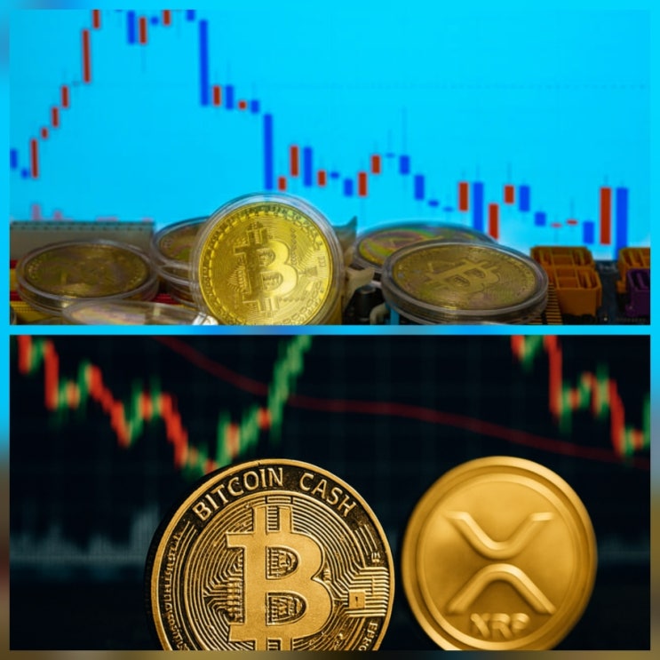 비트코인 회의론 확산 배경 XRP 실용성 가격 전망 분석
