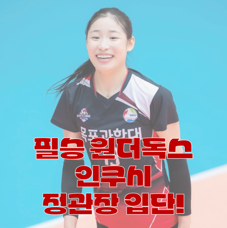 신인 감독 김연경에서 V리그 <b>정관장</b>까지! <b>인쿠시</b> 기록, 연봉... 