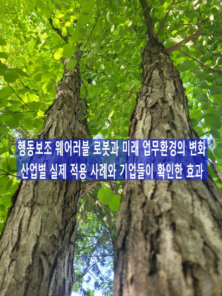 행동보조 웨어러블 로봇과 미래 업무환경의 변화, 산업별 실제 적용 사례와 기업들이 확인한 효과