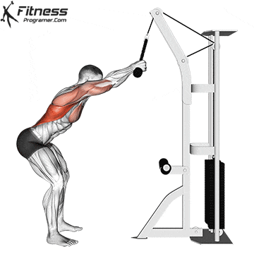 구로 헬스 대림 헬스 함서짐 함서 gym “초보자 등운동 시작은 케이블 풀오버가 답”— 광배 ....