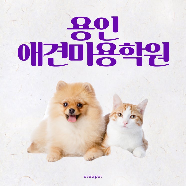 용인애견미용학원 월 20만원으로 수강 등록한 후기
