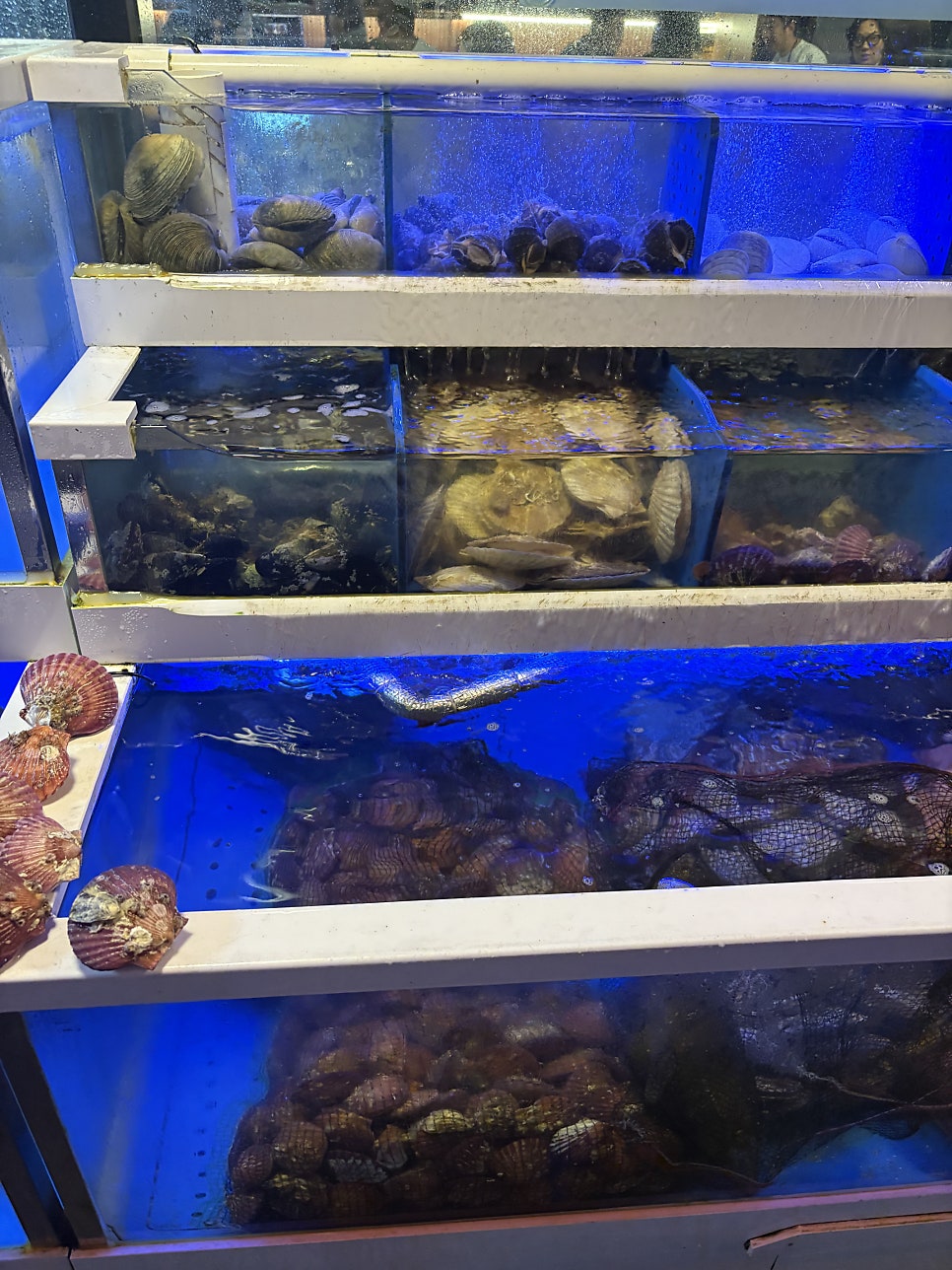 월곡조개창고 사진 2