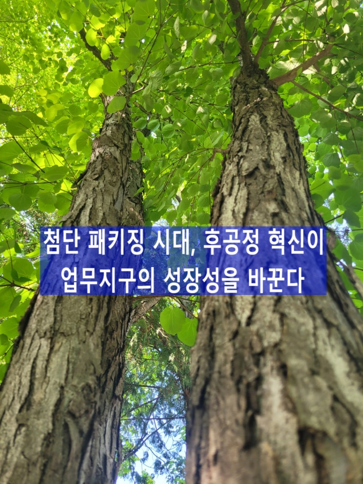  첨단 패키징 시대, 후공정 혁신이 업무지구의 성장성을 바꾼다, 중소기업전략기술로드맵