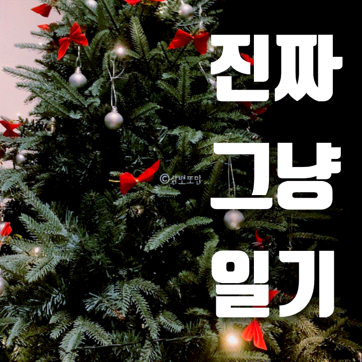  진짜 그냥 일기 | 즐겁고 행복하게 살고 있습니다.