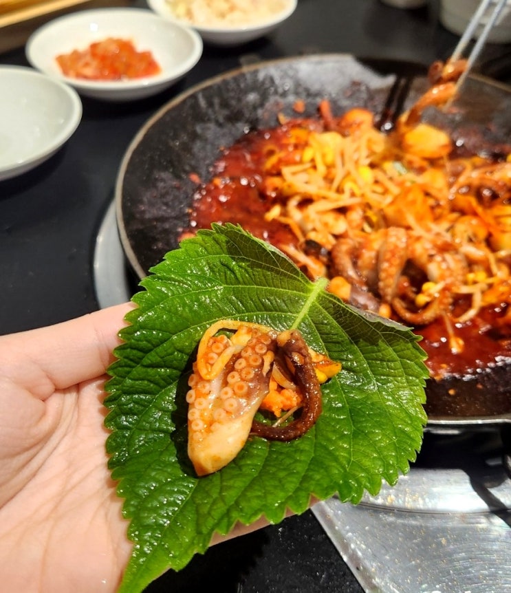  [신논현역 맛집] 아쭈, 쭈꾸미철에 오면 더 맛있는 쭈꾸미 볶음 맛집(주변 맛집)