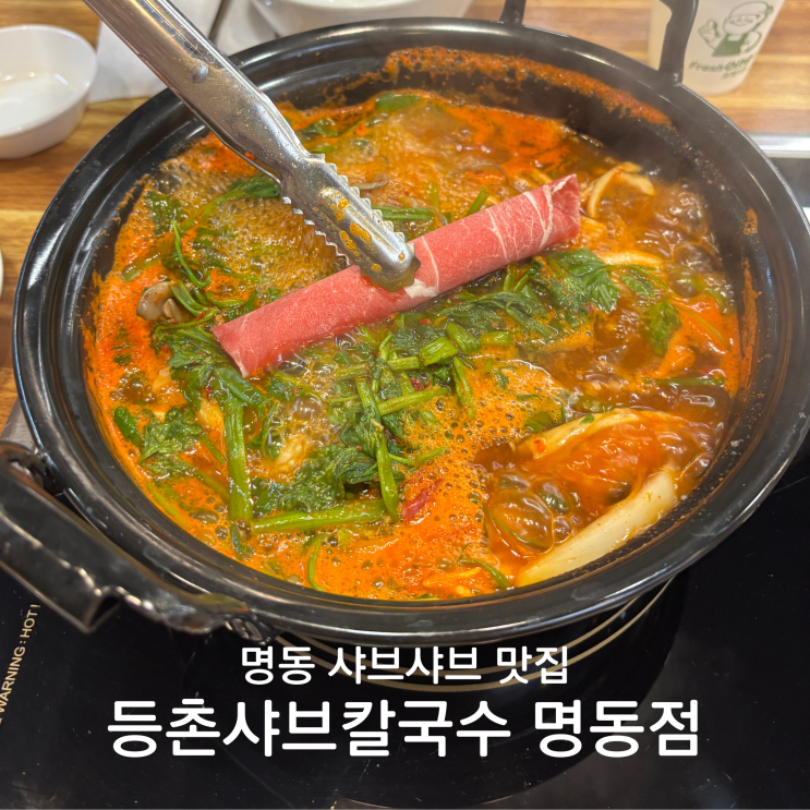  최애 맛집 명동 샤브샤브 등촌샤브칼국수