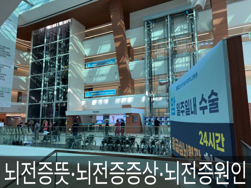 뇌전증뜻·뇌전증증상·뇌전증원인 그리고 의정부을지대학병원 어르신 입원하신 어르신 이....